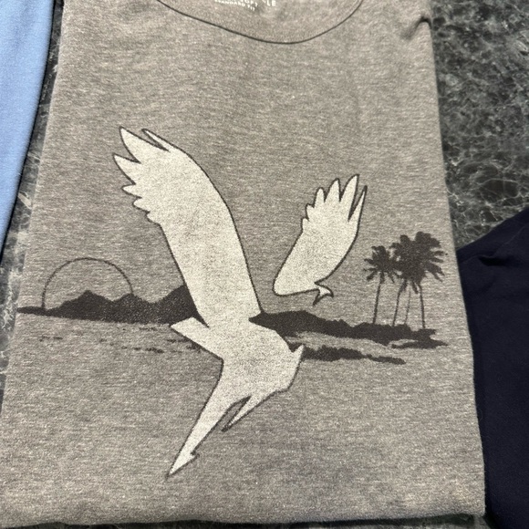 American Eagle men’s extra large T-shirts… One light blue one gray= one price - Picture 7 of 12